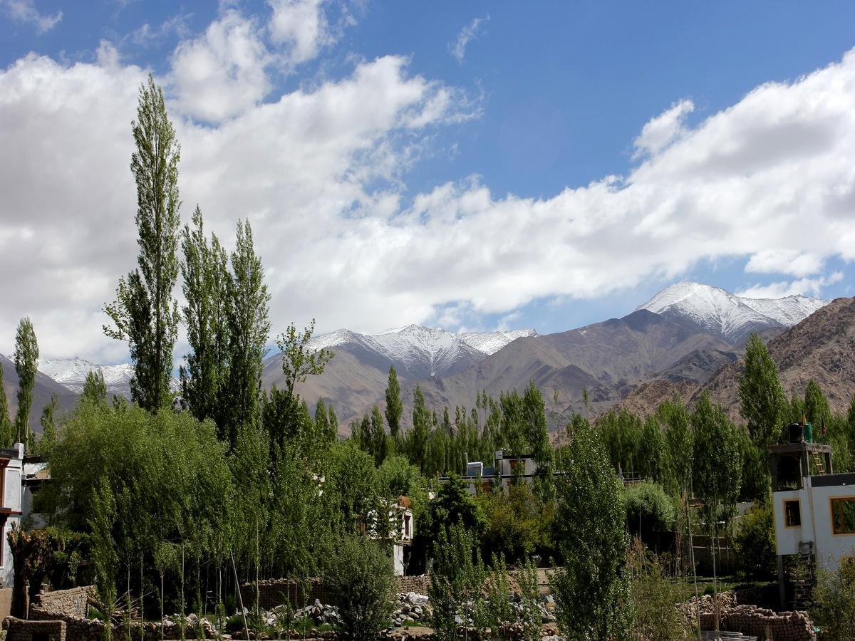 Hotel Mahay Palace Leh Extérieur photo