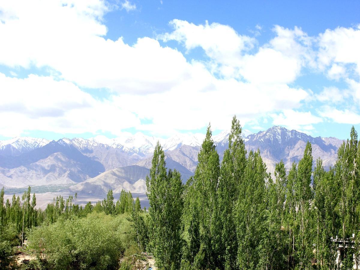 Hotel Mahay Palace Leh Extérieur photo