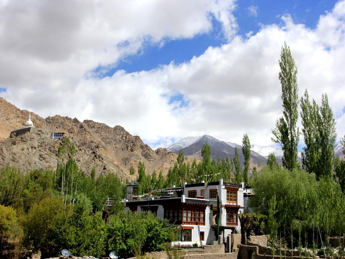 Hotel Mahay Palace Leh Extérieur photo