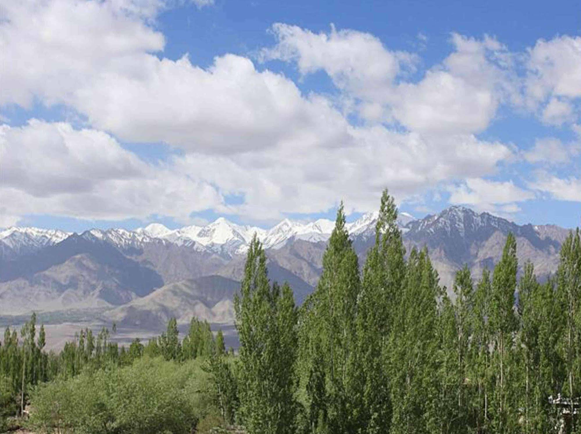 Hotel Mahay Palace Leh Extérieur photo